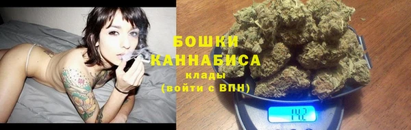 PSILOCYBIN Армянск