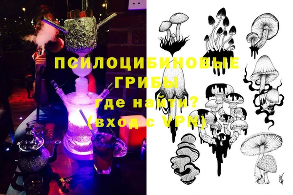 кокс Арсеньев